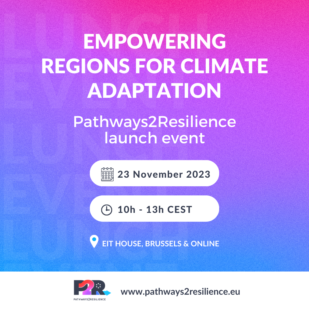 Pathways2Resilience launch event banner