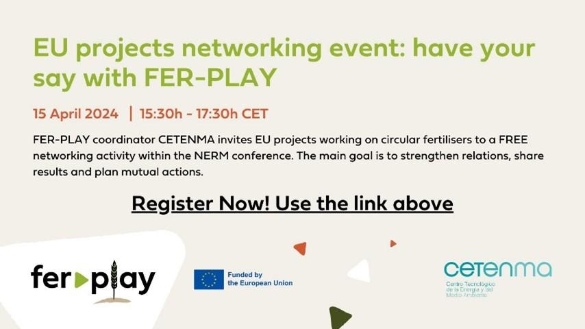 FER PLAY projects networking workshop banner